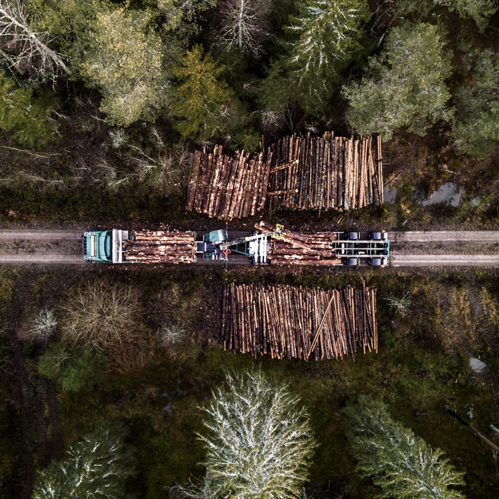 Bild på timmervagn uppifrån